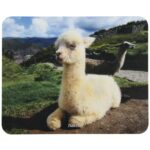 Подложка за мишка Hama - пад за мишка, колекция -Animal - /мека/ 6