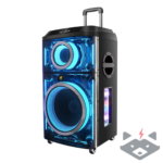 12" - Професионална Караоке Тонколона Homey HM-1003-SP12H с два безжични микрофона
